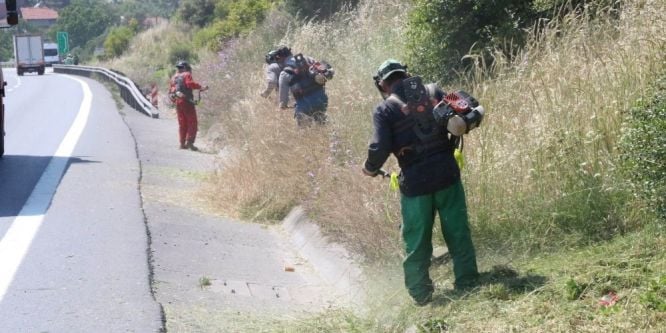 Yeşil alanlar zararlı otlardan temizleniyor