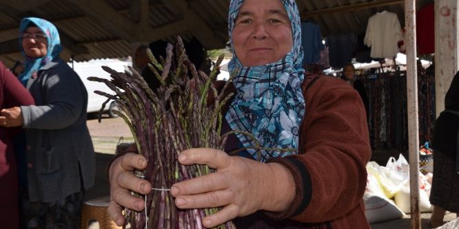 Baharın ilk sebzesi kuşkonmaz pazarda indi