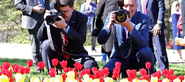 13. Lale Festivali başladı