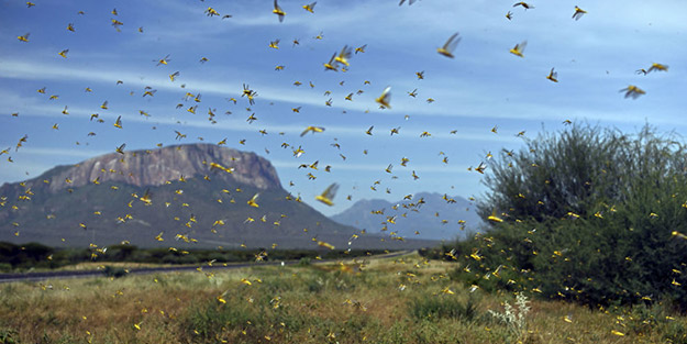 13 milyon kişi tehlikede! Birleşmiş Milletler'den o ülkelere 'istila' uyarısı