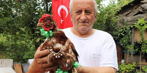 13 yaşındaki tavuğuna 8. doğum günü kutlaması düzenledi