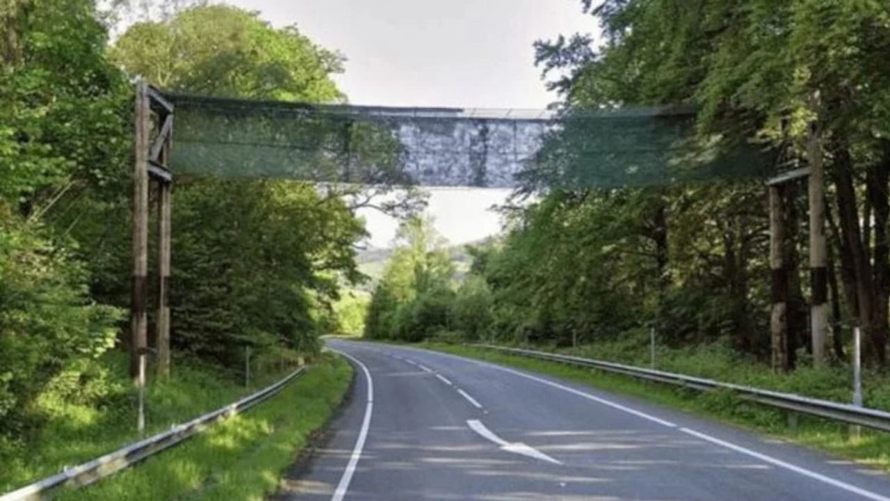 13 yıllık otoyol gizemi çözüldü: Badminton filesi sandılar, gerçek bambaşka çıktı