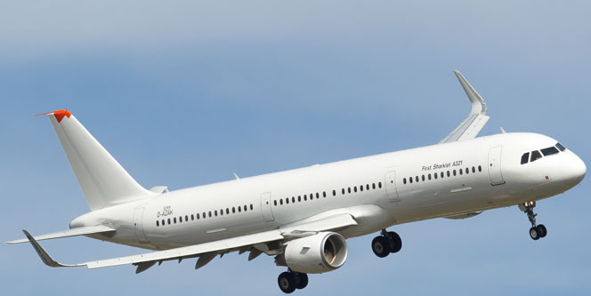 Panik ataklı yolcu uçağı geri döndürdü