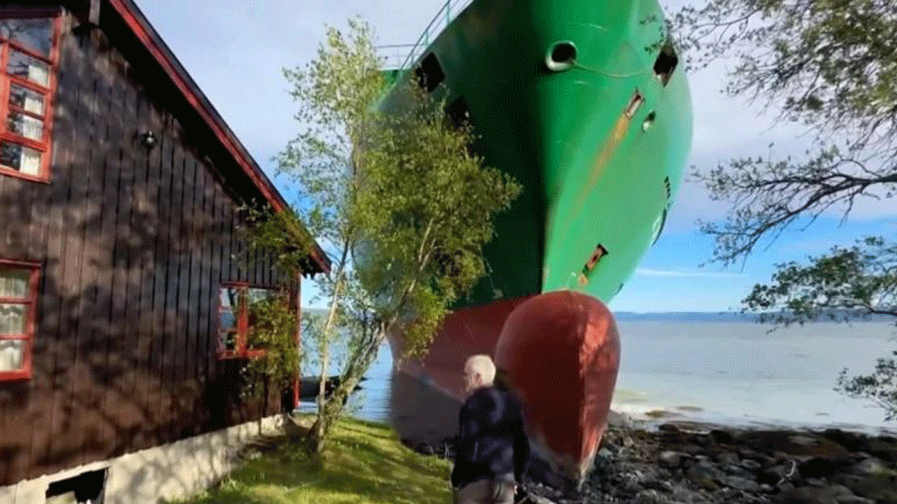 135 metrelik davetsiz misafirden canını bir kaç metre ile kurtardı! Uyandığında şok oldu…