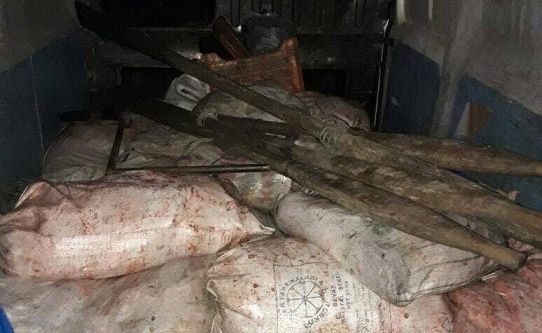 Jandarmadan balık kaçakçılarına suç üstü