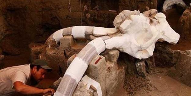 14 bin yaşında mamut bulundu