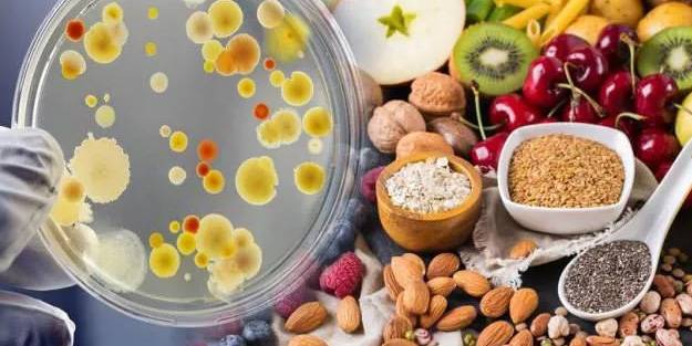 14 Günlük Mikrobiyom Kürü ile bağırsakları temizliyor!