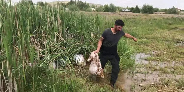 14 ton kaçak balık ele geçirildi