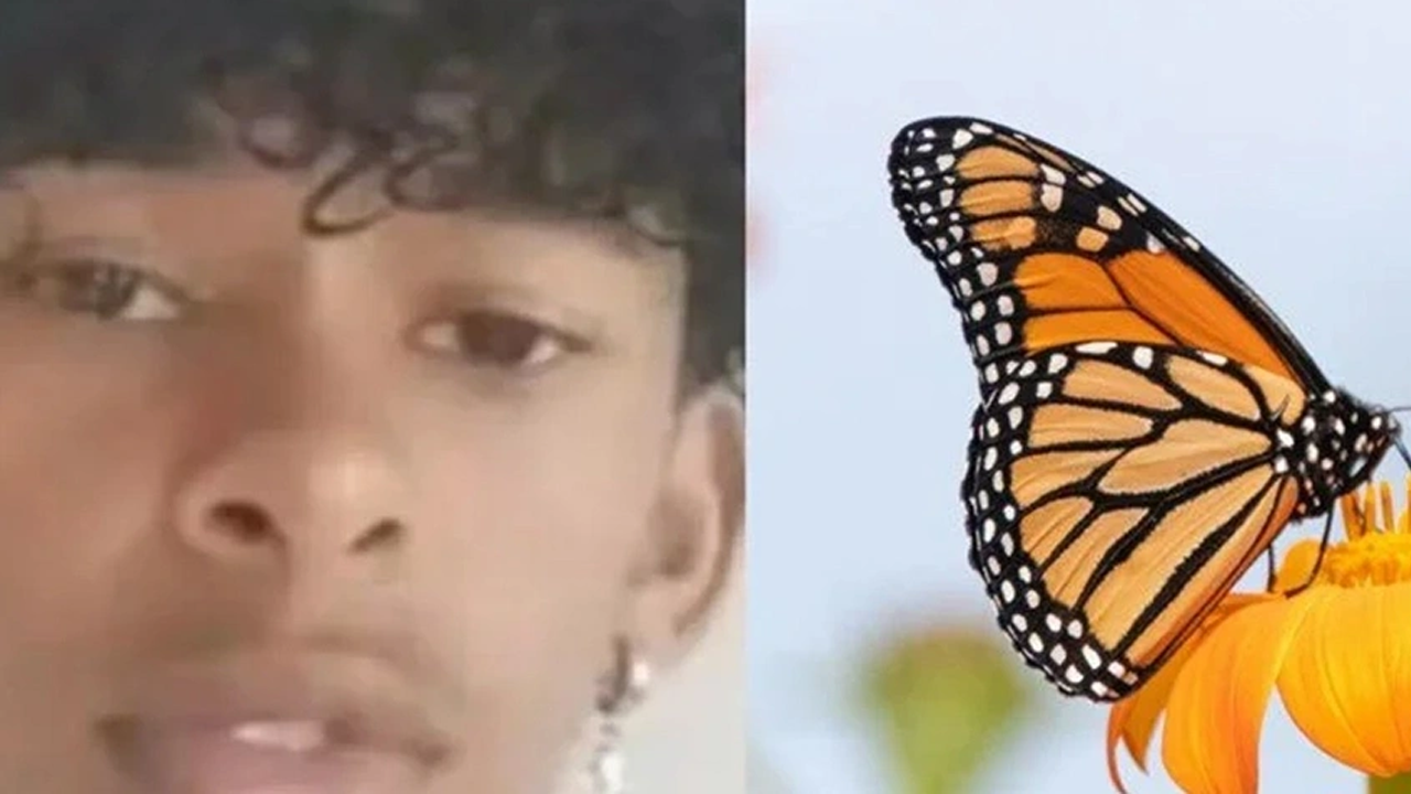 14 yaşındaki çocuğun feci ölümü! Kelebek yüzünden öldü