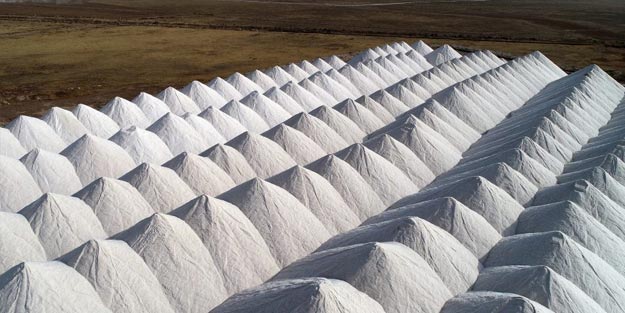 140 bin tona ulaştı! Türkiye 50 ülkeye ihraç ediyor