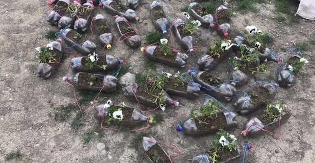 Edremit’te çiçek fideleri dikimi