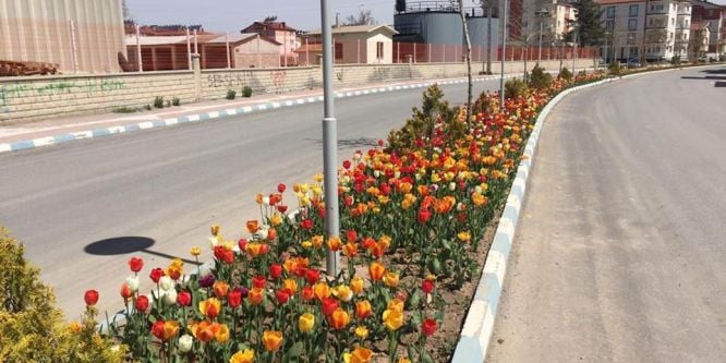 Beyşehir çiçeklerle süslendi