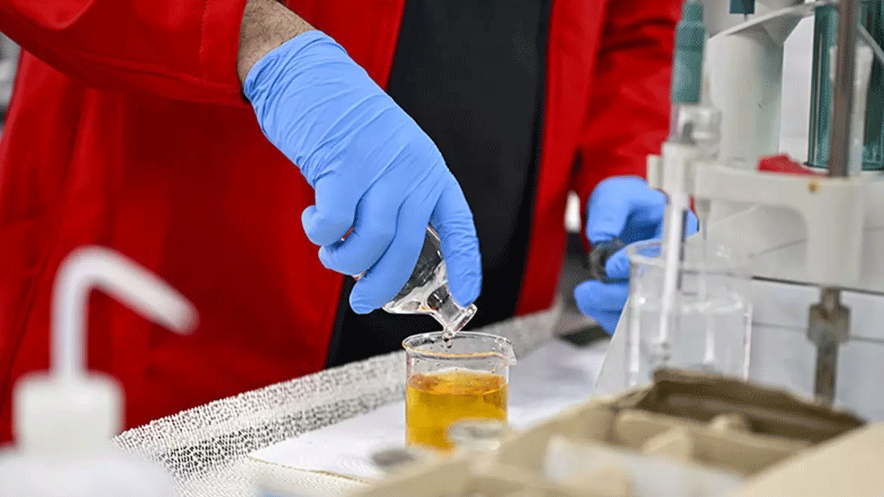 15 bilim insanı inceledi! Marmara alarm veriyor