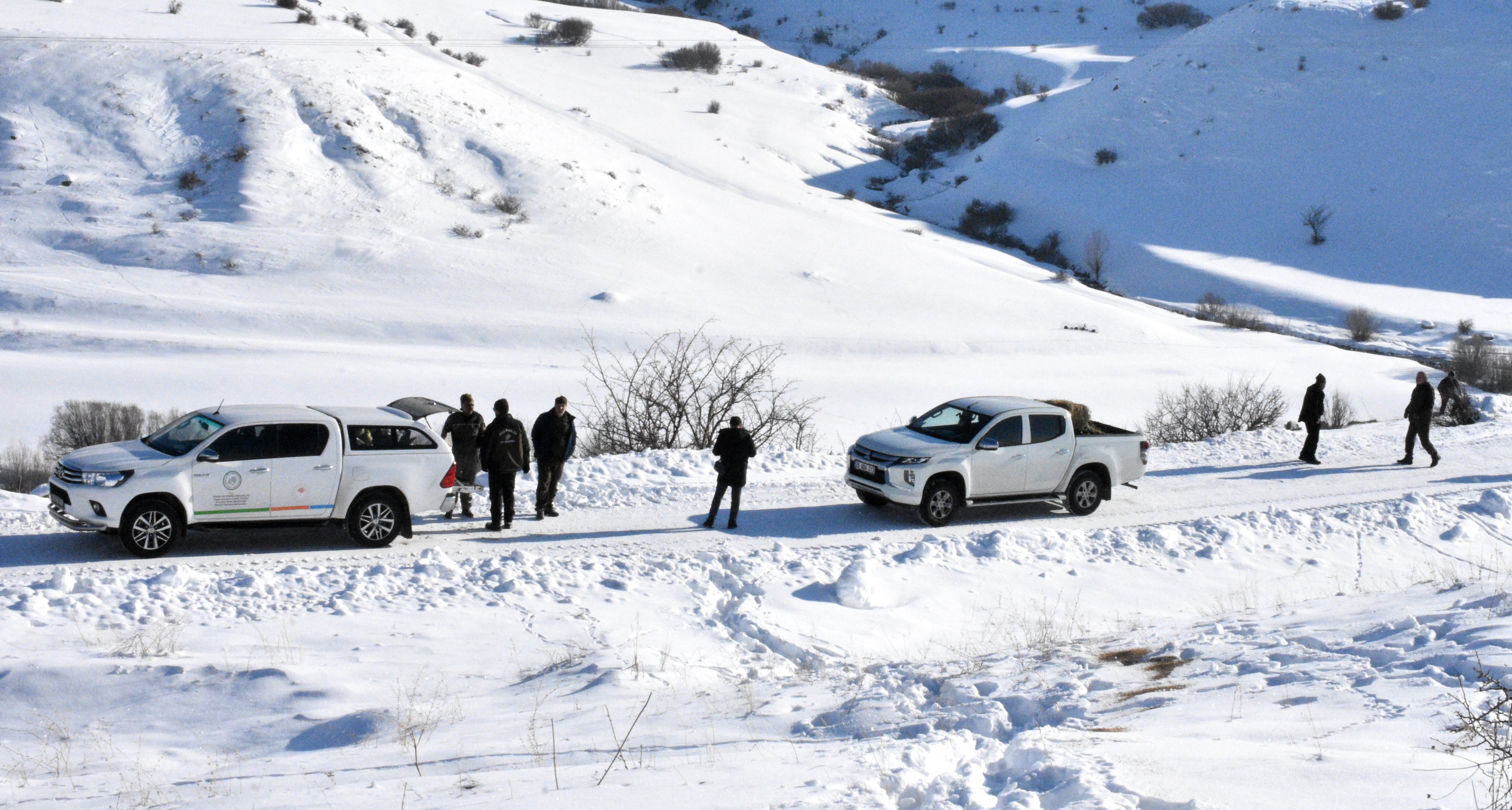 -15 derecede insanoğlunun merhameti fotoğraflara yansıdı! Tek amaçları vardı…