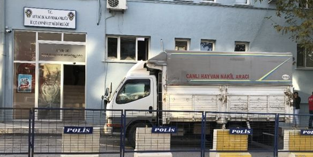 15 keçiyi çaldılar, 5 kilometre sonra enselendiler