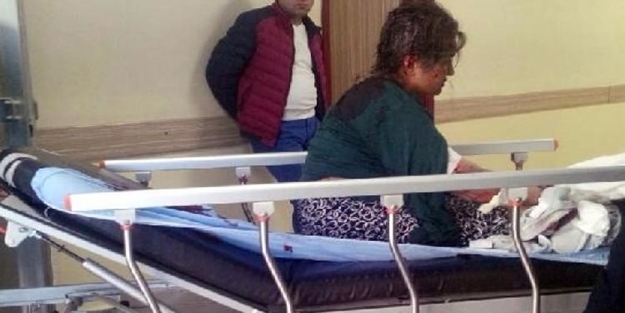 15 köpeğin saldırısına uğradı, canının zor kurtardı