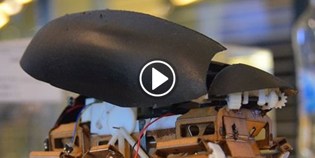 1,5 metre zıplayabilen robot böcek üretildi