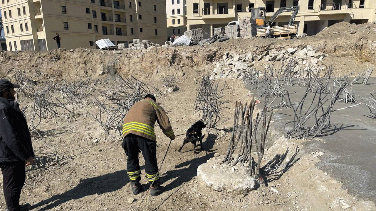 15 metrelik inşaat çukuruna düşen köpek Hatay'ı seferber etti