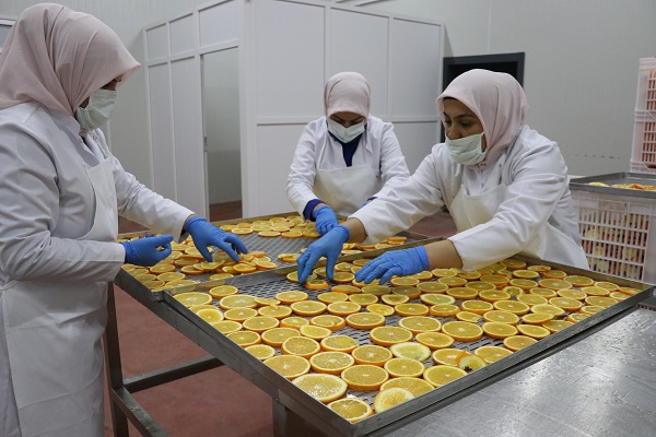 1,5 milyon lira hibe aldılar! Bir ayda 2 ton meyve kuruttular