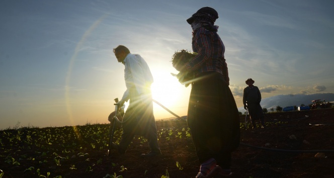 15 saat çalışmanın karşılığında 12 TL