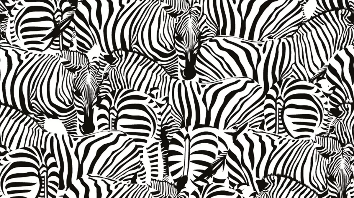 15 saniyede buldunuz mu? Gizli hayvanı yalnızca dahiler fark edebiliyor