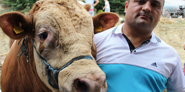 15 Temmuz doğumlu dev boğayı alana 3 hediye birden!