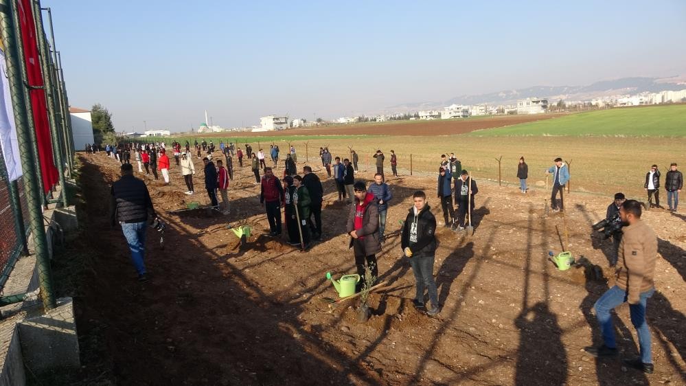 15 Temmuz şehitleri anısına 251 zeytin fidanı dikildi