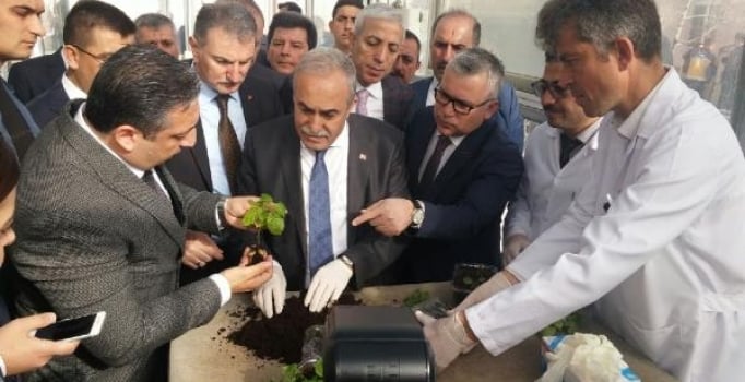 '15 ülkeye patates tohumu ihraç edeceğiz'