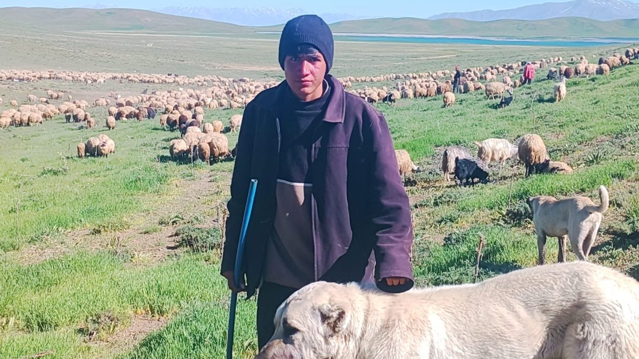 15 yaşındaki Afgan çoban Türkiye’de işkence gördü!