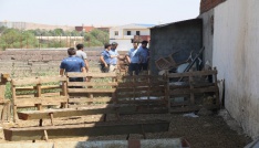 15 yaşındaki genç, babasının silahıyla kazara kendini vurdu