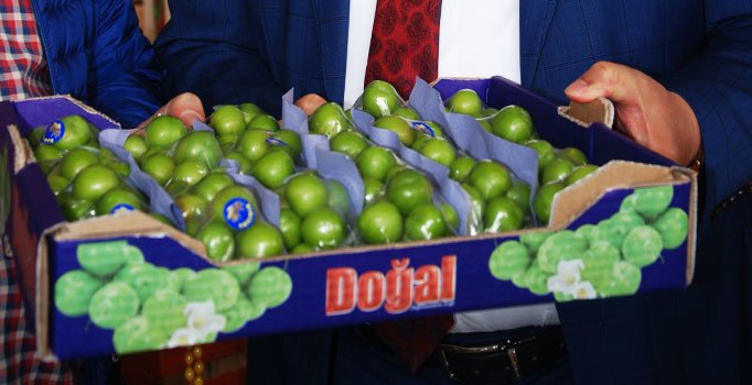 150 liradan tane ile satılan eriğin kilosu 55 liraya ucuzladı