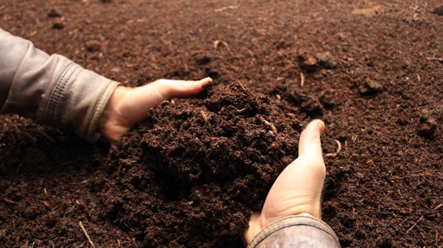 2 milyon tl yatırımla 150 milyon solucan yılda 500 ton organik...