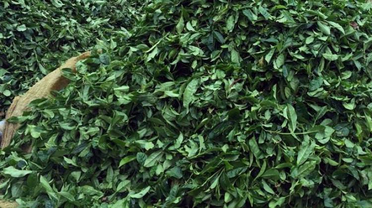 1500 işçi alıyorlar! Başvurular başlıyor