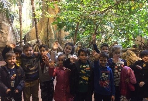 Serdivanlı öğrenciler İstanbul Akvaryumu gezdi