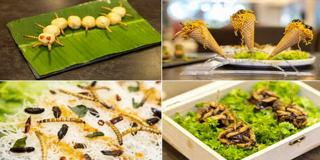 16 böcek türü yiyecek olarak onaylandı!