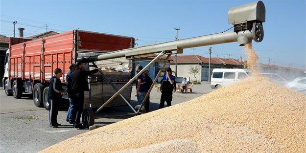16 ton mısırın içinden çıkanlar hayrete düşürdü!