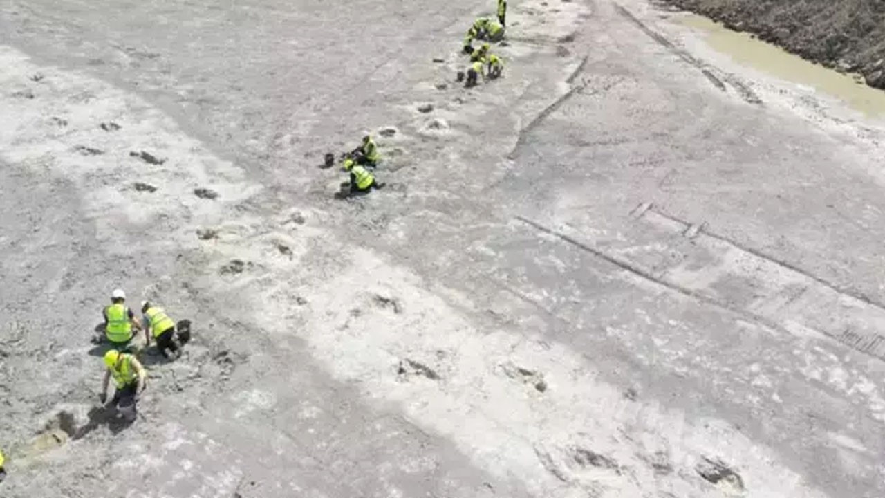 166 milyon yıl öncesine ait: 200 dinozor ayak izi bulundu! Bilim insanlarından müthiş buluş