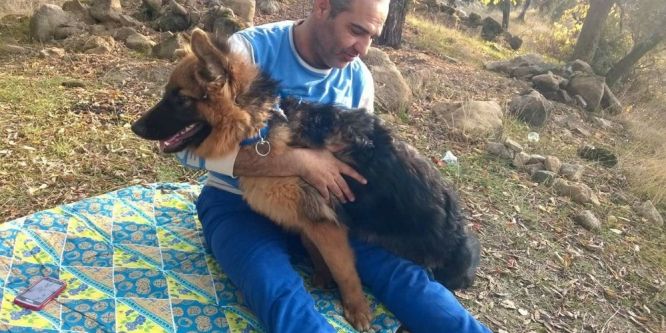 Aydın’da trafik kazası: 1 ölü!