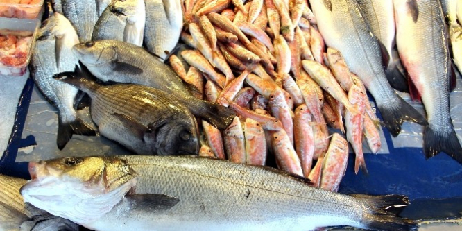 Denizlerden dolar avlıyorlar