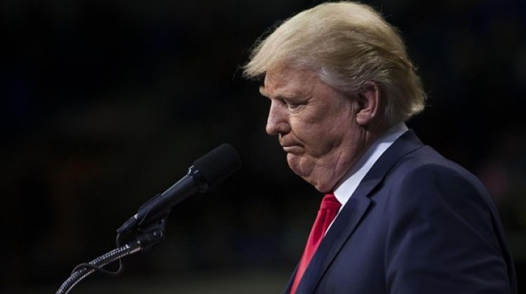 17 kat arttı, Google'da Donald Trump'ı geçti