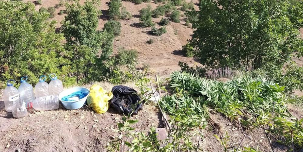 17 kilo esrar ele geçirildi