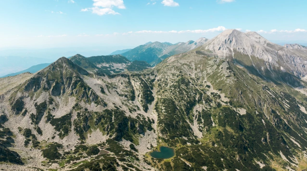 17 yıldır aranıyordu! Dağda kurt ve ayılarla yaşarken bulundu