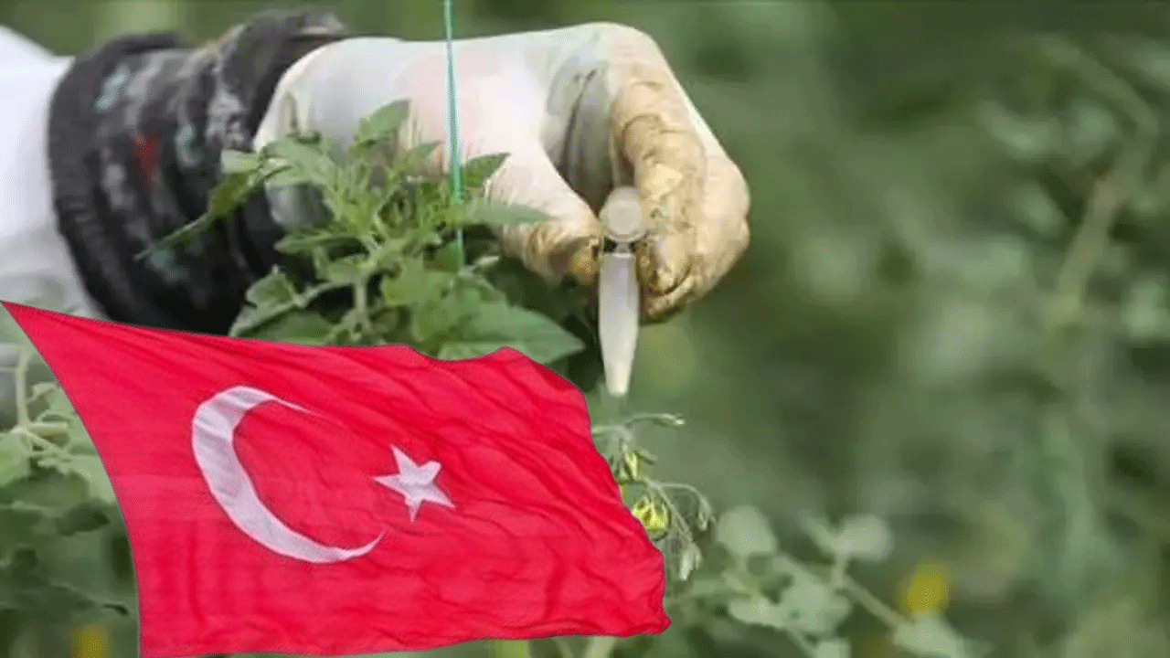 177 ülke sırada! Türkiye'den satın alıyorlar