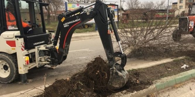 Karacabey’de ağaçlar kesilmiyor