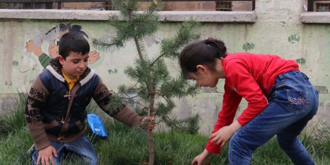 Bitlis’te fidan dikimi