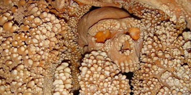 187 bin yıl sonra böyle bulundu - FOTO