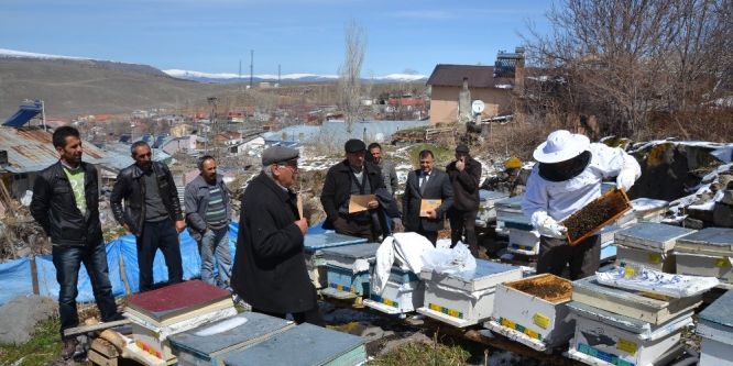 Şenkaya’da Arı Yetiştiriciliği kurslarına yoğun ilgi