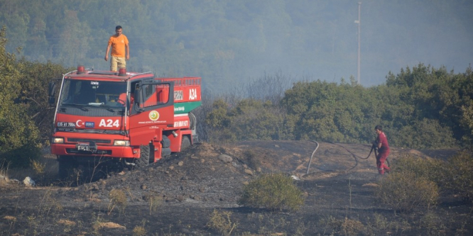 İzmir’de makilik alanda yangın
