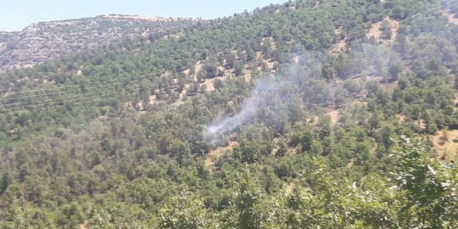 Adıyaman’da orman yangını