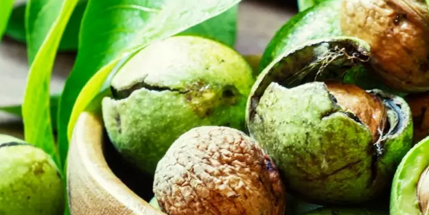 18'lik hafıza için 3 besin: ceviz, çikolata, keten tohumu! yüzde 70 kakao içeren...Şaşırtıcı yiyecekler